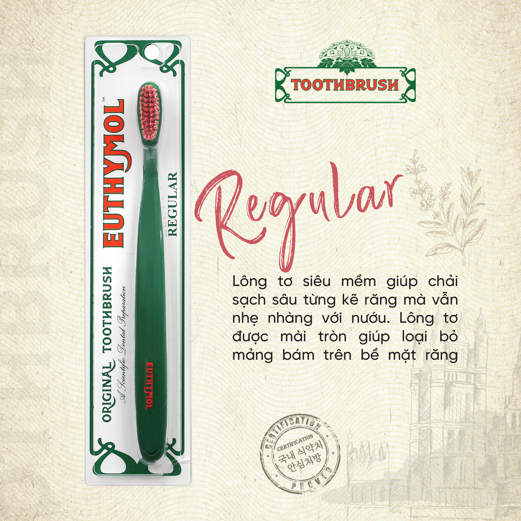 Bàn chải răng Euthymol Original Toothbrush Regular